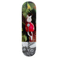 Alien Workshop Racer KTC Mache 8.25" Skateboard Deck